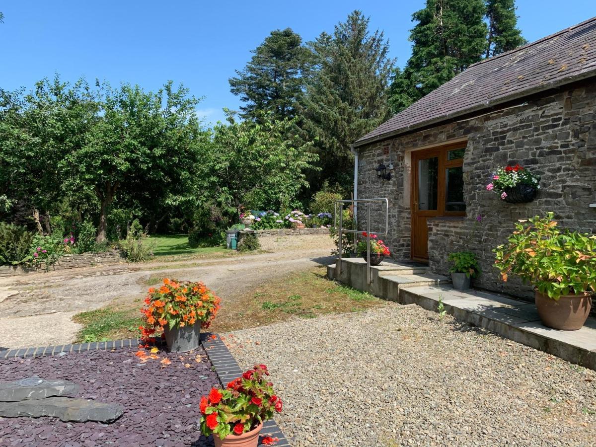 Parc Farm B&B Llanarth  Eksteriør bilde