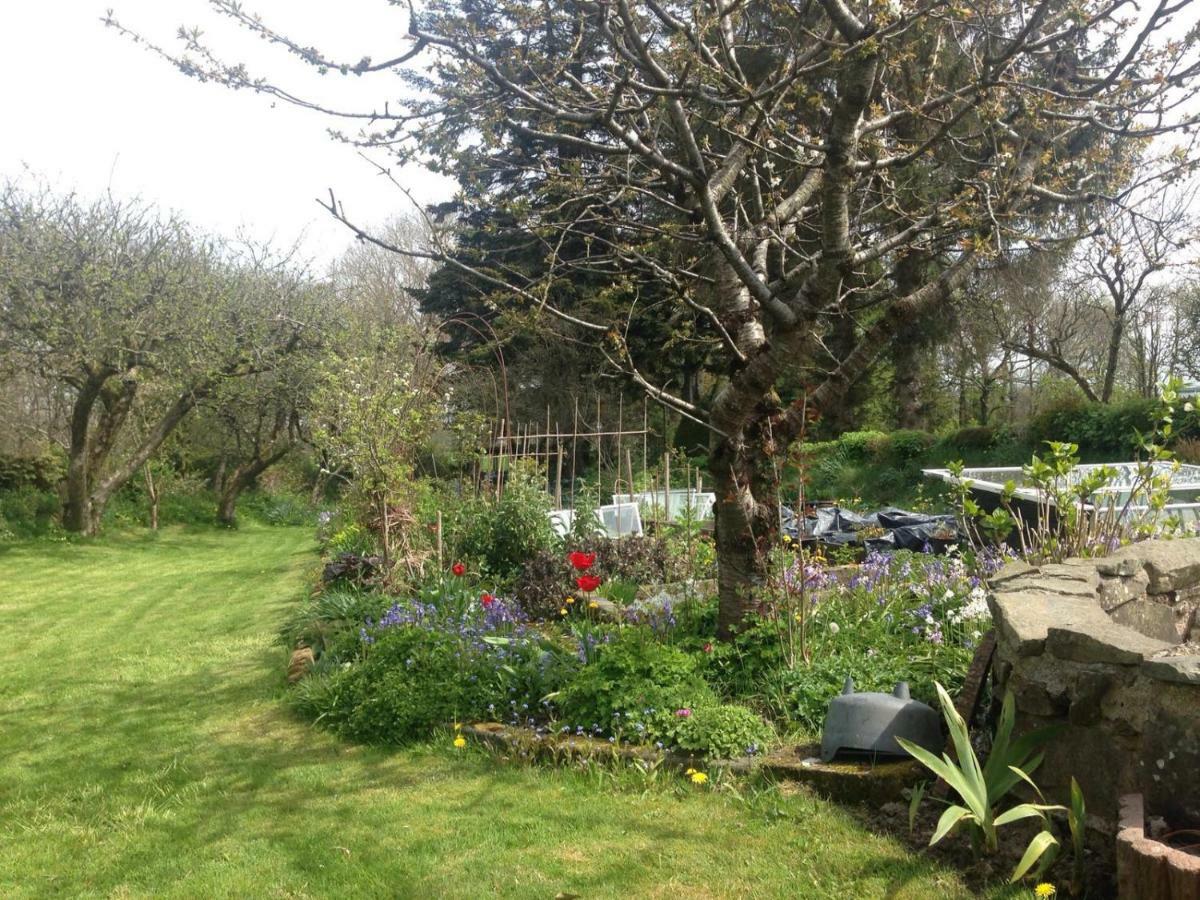 Parc Farm B&B Llanarth  Eksteriør bilde