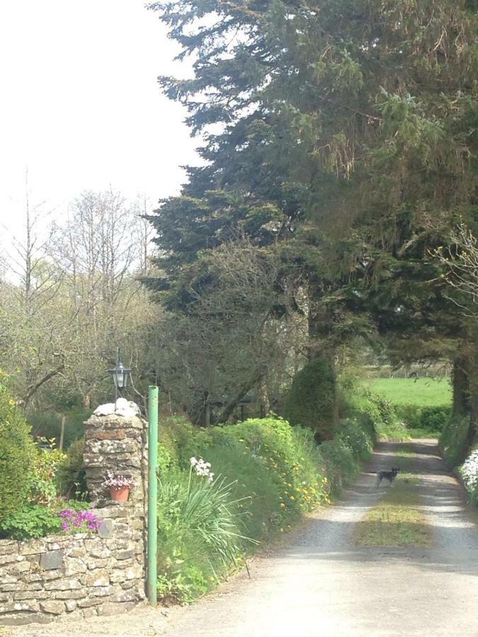 Parc Farm B&B Llanarth  Eksteriør bilde